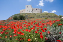 Primavera en el Castillo de Curiel